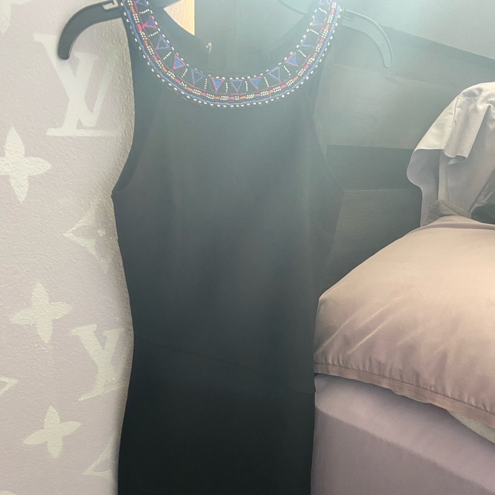 embroidered tight mini dress